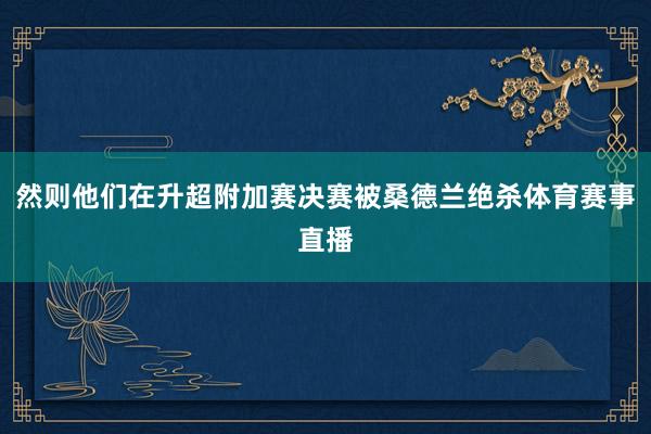 然则他们在升超附加赛决赛被桑德兰绝杀体育赛事直播