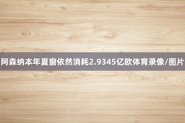 阿森纳本年夏窗依然消耗2.9345亿欧体育录像/图片