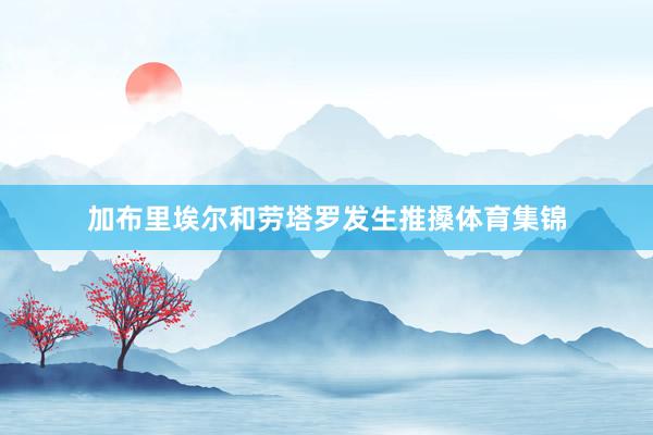 加布里埃尔和劳塔罗发生推搡体育集锦