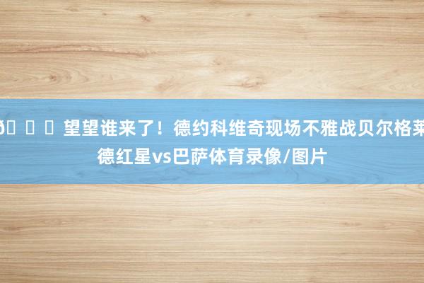 😍望望谁来了！德约科维奇现场不雅战贝尔格莱德红星vs巴萨体育录像/图片