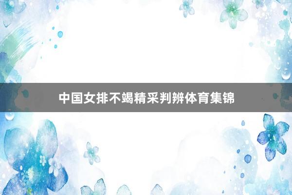 中国女排不竭精采判辨体育集锦
