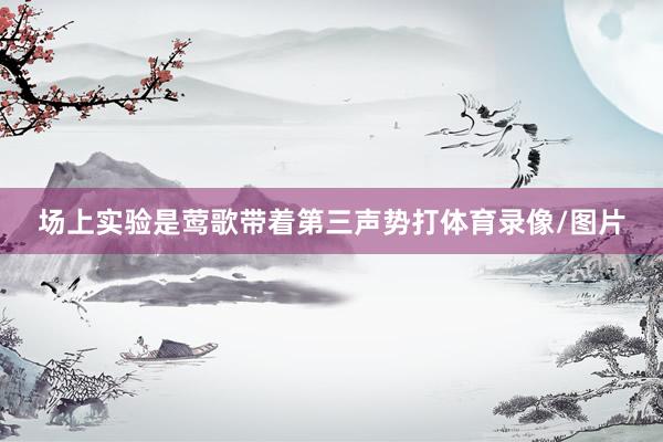 场上实验是莺歌带着第三声势打体育录像/图片