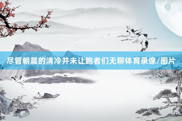 尽管朝晨的清冷并未让跑者们无聊体育录像/图片