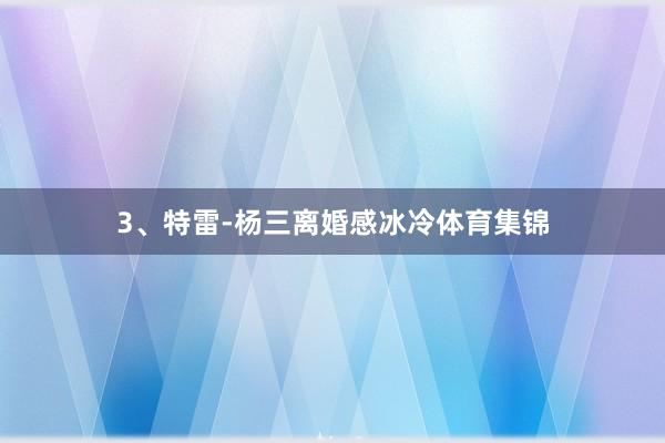 3、特雷-杨三离婚感冰冷体育集锦