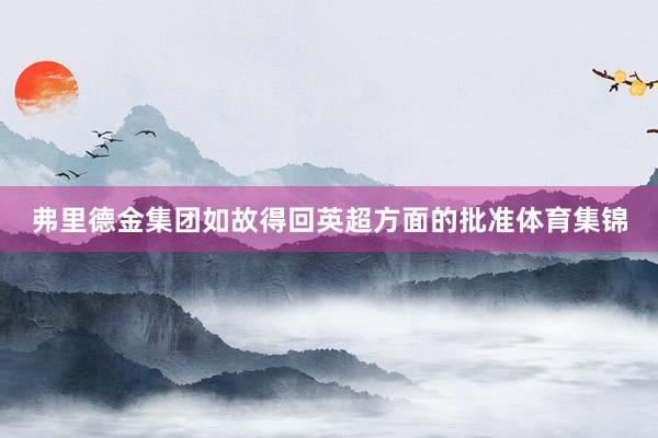弗里德金集团如故得回英超方面的批准体育集锦