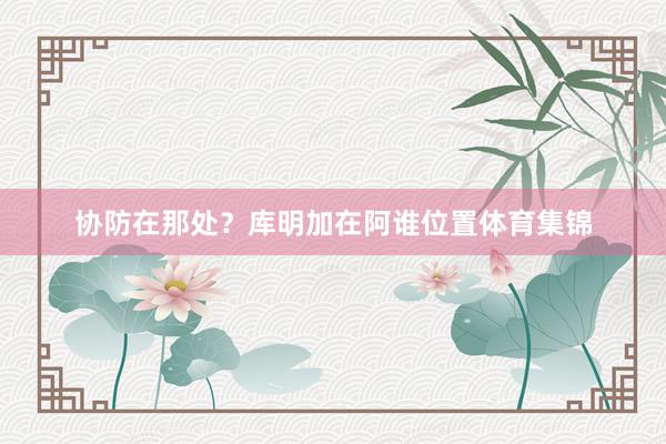 协防在那处？库明加在阿谁位置体育集锦