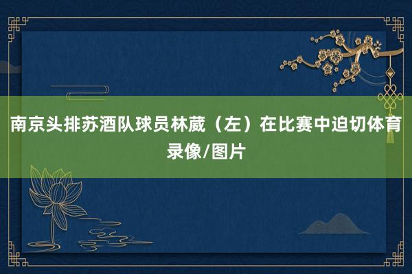 南京头排苏酒队球员林葳（左）在比赛中迫切体育录像/图片