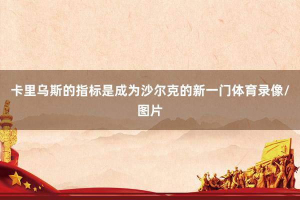 卡里乌斯的指标是成为沙尔克的新一门体育录像/图片