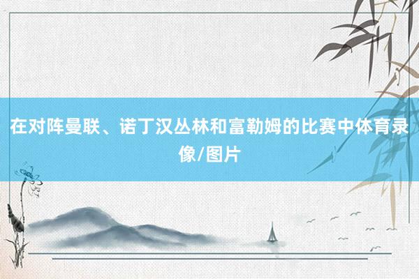 在对阵曼联、诺丁汉丛林和富勒姆的比赛中体育录像/图片