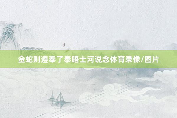 金蛇则遵奉了泰晤士河说念体育录像/图片