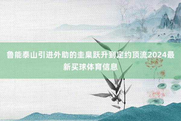 鲁能泰山引进外助的圭臬跃升到定约顶流2024最新买球体育信息