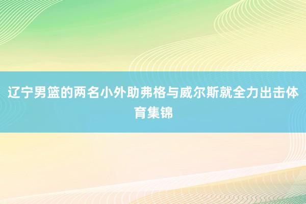 辽宁男篮的两名小外助弗格与威尔斯就全力出击体育集锦