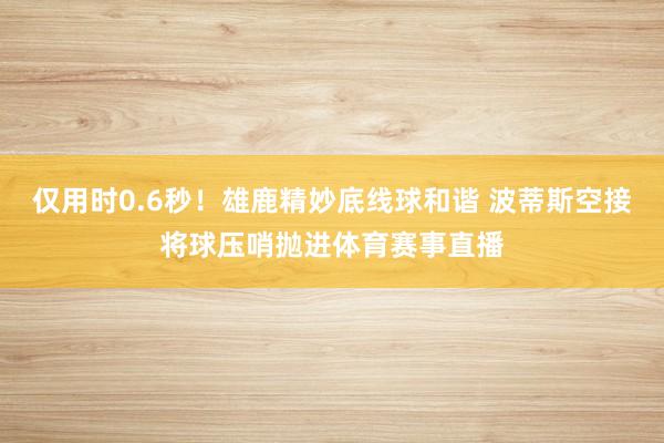 仅用时0.6秒！雄鹿精妙底线球和谐 波蒂斯空接将球压哨抛进体育赛事直播