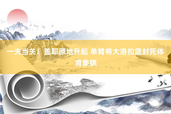 一夫当关！盖耶原地升起 单臂将大洛扣篮封死体育集锦