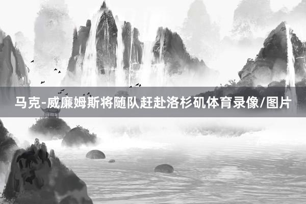 马克-威廉姆斯将随队赶赴洛杉矶体育录像/图片