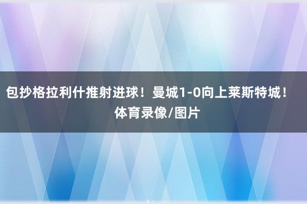 包抄格拉利什推射进球!曼城1-0向上莱斯特城! 体育录像/图片