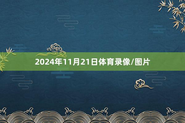 2024年11月21日体育录像/图片