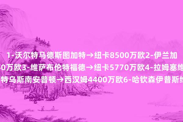 1-沃尔特马德斯图加特→纽卡8500万欧2-伊兰加诺丁汉丛林→纽卡6140万欧3-维萨布伦特福德→纽卡5770万欧4-拉姆塞维拉→纽卡4515万欧5-马特乌斯南安普顿→西汉姆4400万欧6-哈钦森伊普斯维奇→诺丁汉丛林4340万欧7-瓦塔拉伯恩茅斯→布伦特福德4280万欧8-恩多耶博洛尼亚→诺丁汉丛林4200万欧9-迪布林南安普顿→埃弗顿4050万欧10-托迪博尼斯→西汉姆4000万欧11-凯文矿