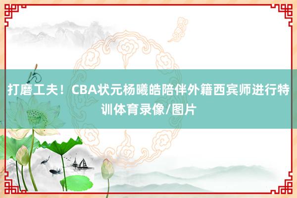 打磨工夫!CBA状元杨曦皓陪伴外籍西宾师进行特训体育录像/图片