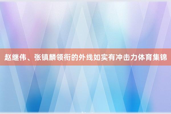赵继伟、张镇麟领衔的外线如实有冲击力体育集锦