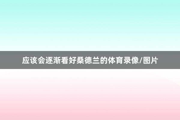 应该会逐渐看好桑德兰的体育录像/图片