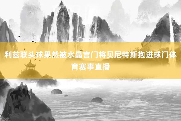 利兹联头球果然被水晶宫门将贝尼特斯抱进球门体育赛事直播