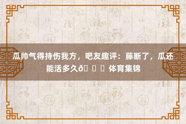 瓜帅气得持伤我方,吧友趣评:藤断了,瓜还能活多久😂体育集锦