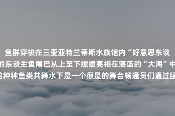 鱼群穿梭在三亚亚特兰蒂斯水族馆内“好意思东谈主鱼们”衣着种种各样的东谈主鱼尾巴从上至下缓缓亮相在湛蓝的“大海”中尽情穿梭和五彩斑斓的种种鱼类共舞水下是一个很是的舞台畅通员们通过腰腹扭捏发力带登程躯在水中缓缓游动融合不同的音乐作风作念出多种优好意思婀娜的看成发扬出种种作风的主题实践水平侧游、水平仰游、悬停好意思东谈主鱼泡泡……畅通员需反复下潜数次完成一系列看成工夫以及一些自创编排的看成给公共带来好意思的享受好意思东谈主鱼比赛有圆善的评分尺度它集神色拍浮、摆脱潜、蹼泳瑜伽等项指标特质于孤单每名选手满分100分打分包括工夫完成、游动效果姿态衣饰妆容、谈具使用、下潜次数饰演以及音乐、形象风度、心思处理等韩国畅通员洪雪华是第二次来三亚比赛“比较于第一次来干预饰演此次风雅干预比赛准备更充分我将韩国的跳舞作风融入编舞看成通过好意思东谈主鱼畅通展示韩国的文化”她说赛事称号的变化参与东谈主数的加多折射出这一畅通辞宇宙各地的影响力“本年是第一次举办亚洲杯正赛树立了好意思东谈主鱼国度和地区代表队”国度体育总局水上畅通处理中心畅通三部部长刘青先容说好意思东谈主鱼畅通由中国发起由中国制定竞赛规程它的发展越来越规范化、专科化一经得回海外认同如今好意思东谈主鱼畅通缓缓走入大家视线越来越多的水上畅通意思意思者吸收战役、尝试好意思东谈主鱼畅通很多庸碌东谈主也初始了解这项畅通在刘青看来这项畅通正在迟缓走向大家本年通过打造泳池比赛蛊卦更多青少年参与让小孩子从小了解海洋文化科普海洋学问现在三亚迎来了旅游旺季旅客不错在这里体验多种潜水项目固然“好意思东谈主鱼”潜水看起来很优好意思可是这项水下畅通如故有一定难度的在此指示公共拍浮入门者不要冒然挑战水性好的体验时也一定要有专科东谈主士的保护记者:刘博、陈子薇、黎多江2024最新买球体育信息