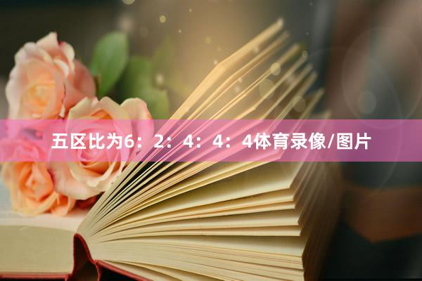 五区比为6：2：4：4：4体育录像/图片