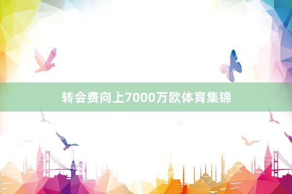 转会费向上7000万欧体育集锦