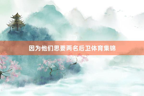 因为他们思要两名后卫体育集锦