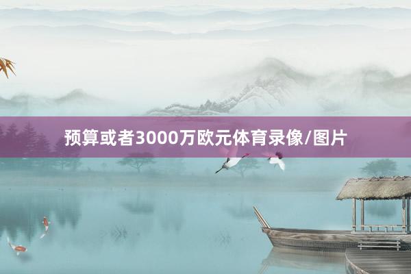 预算或者3000万欧元体育录像/图片