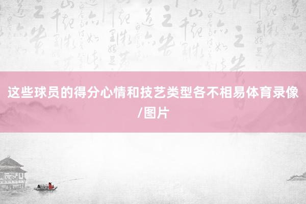这些球员的得分心情和技艺类型各不相易体育录像/图片
