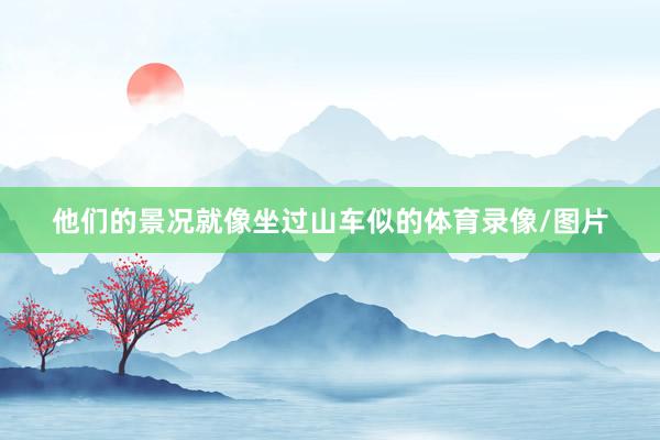 他们的景况就像坐过山车似的体育录像/图片