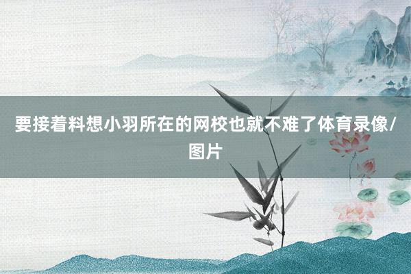 要接着料想小羽所在的网校也就不难了体育录像/图片