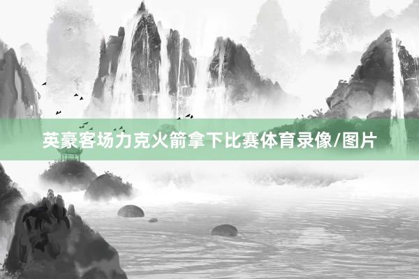 英豪客场力克火箭拿下比赛体育录像/图片