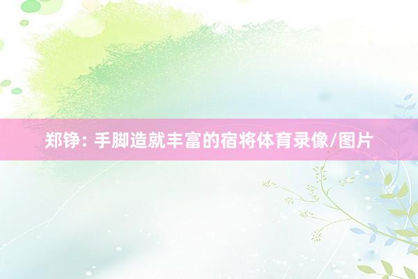 郑铮: 手脚造就丰富的宿将体育录像/图片