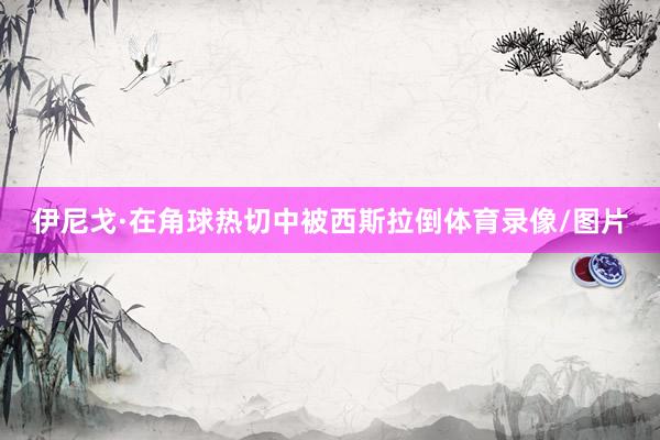 伊尼戈·在角球热切中被西斯拉倒体育录像/图片
