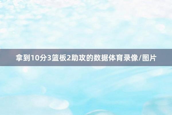 拿到10分3篮板2助攻的数据体育录像/图片