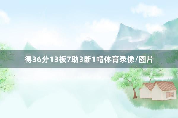 得36分13板7助3断1帽体育录像/图片