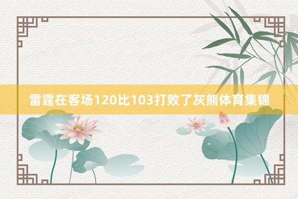 雷霆在客场120比103打败了灰熊体育集锦
