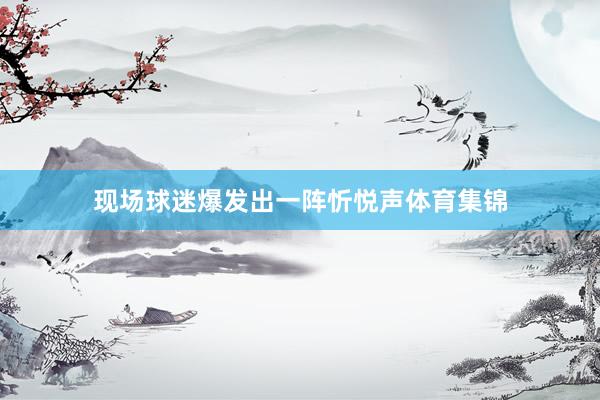 现场球迷爆发出一阵忻悦声体育集锦