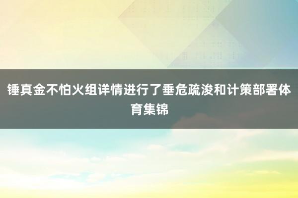 锤真金不怕火组详情进行了垂危疏浚和计策部署体育集锦