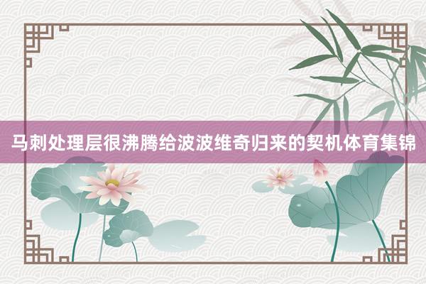 马刺处理层很沸腾给波波维奇归来的契机体育集锦