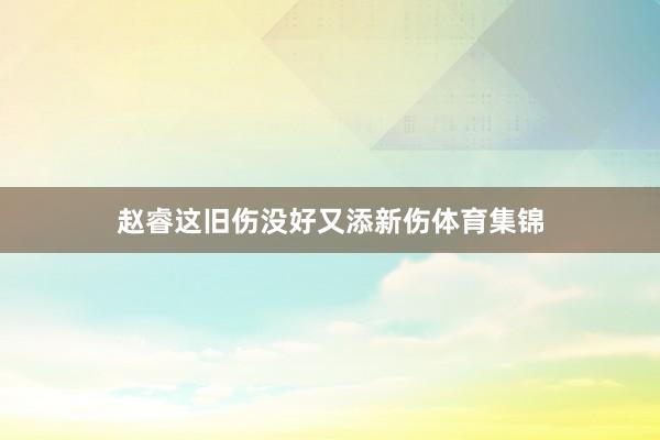 赵睿这旧伤没好又添新伤体育集锦