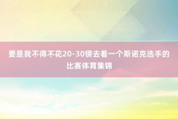 要是我不得不花20-30镑去看一个斯诺克选手的比赛体育集锦