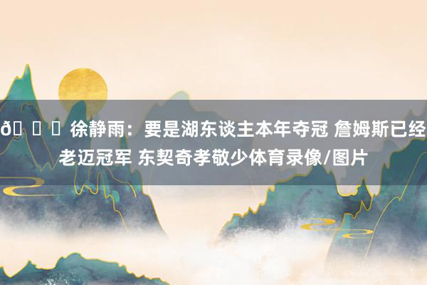 👀徐静雨：要是湖东谈主本年夺冠 詹姆斯已经老迈冠军 东契奇孝敬少体育录像/图片