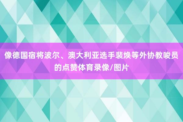 像德国宿将波尔、澳大利亚选手裴焕等外协教唆员的点赞体育录像/图片