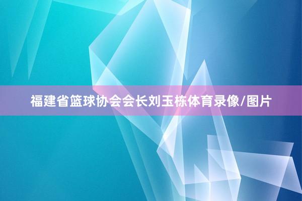 福建省篮球协会会长刘玉栋体育录像/图片