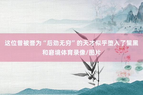 这位曾被誉为“后劲无穷”的天才似乎堕入了黧黑和窘境体育录像/图片